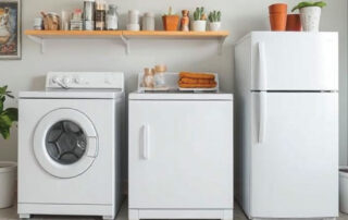 A modern laundry area featuring a washing machine, dryer, and refrigerator, with a wooden shelf decorated with potted plants and jars.